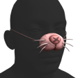 Easter Bunny Nose 2026