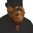 Wizard Beard
