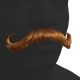Curly Moustache