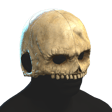 Skull Helmet