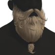 Wizard Beard