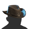 Cowboy Hat