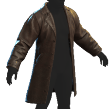 Leather Coat (Brown)