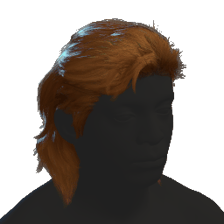 Mullet Hair