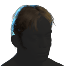 Short Parted Hair