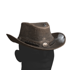 Cowboy Hat