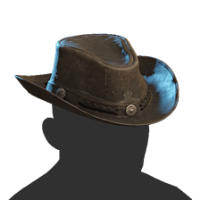 Cowboy Hat