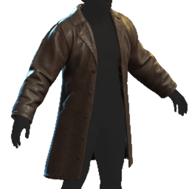 Leather Coat (Brown)