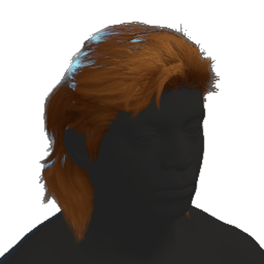Mullet Hair