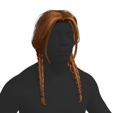 Braided Hair