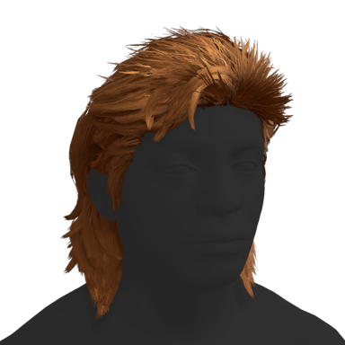 Mullet Hair