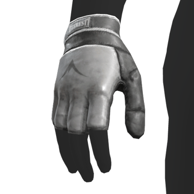 Shinguards Gloves Black