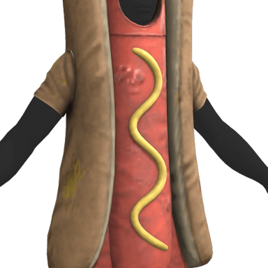 The Hotdog Costume