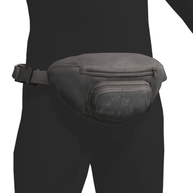 Fanny Pack