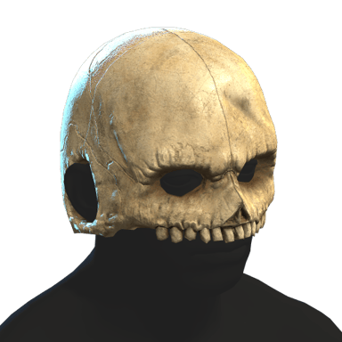 Skull Helmet