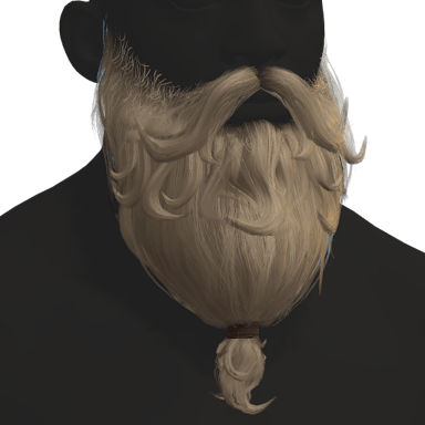 Wizard Beard