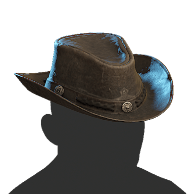 Cowboy Hat